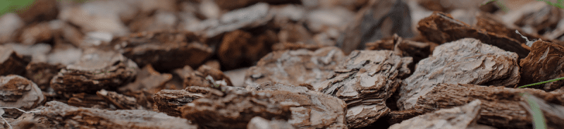 Mulch kaufen für Ihren Garten PALIGO